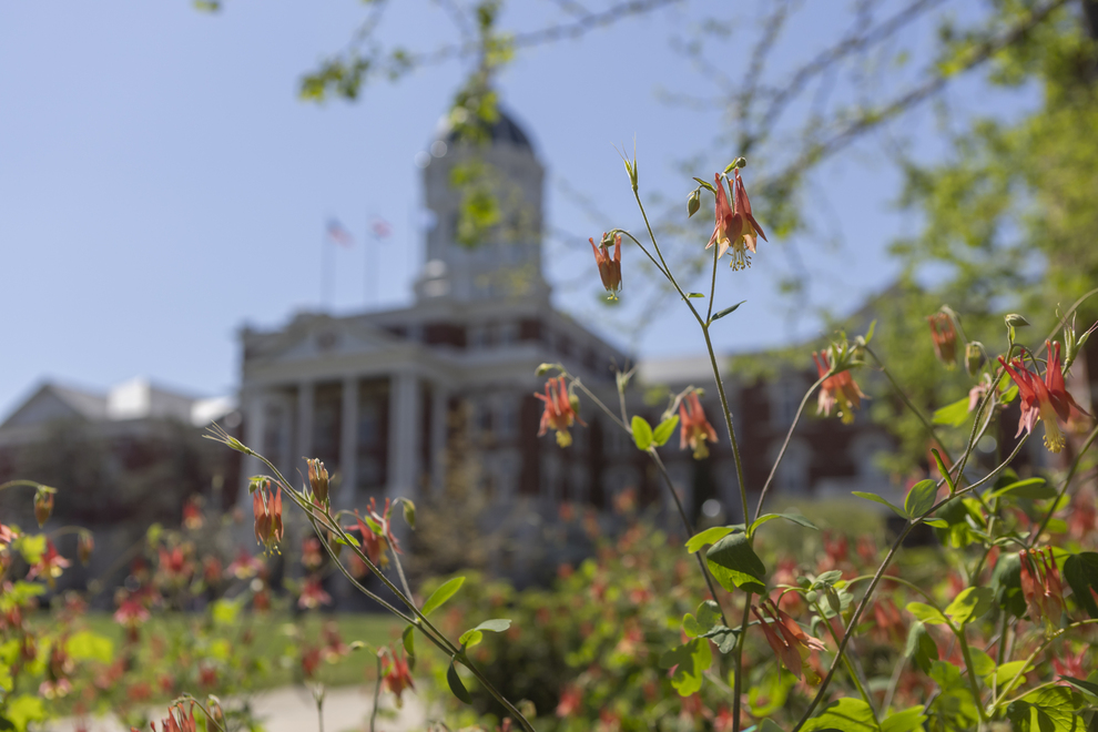 A photo of Jesse Hall