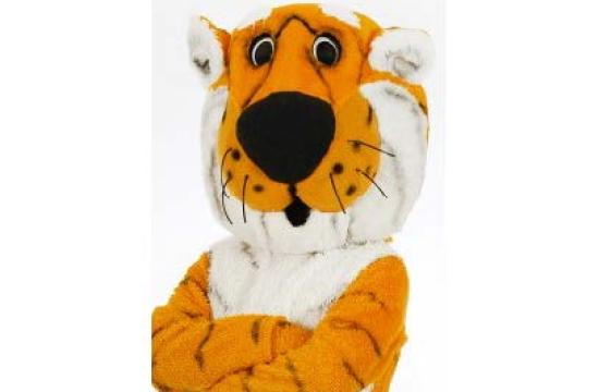 Truman the Tiger