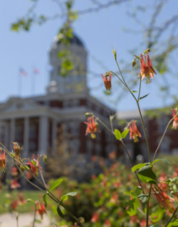A photo of Jesse Hall